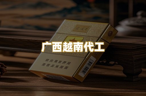广西越南代工